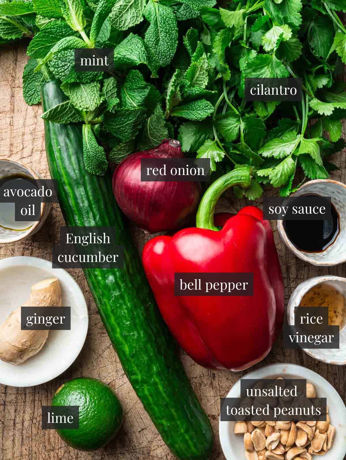 red bell pepper, red onion, ginger, English cucumber, lime, rice vinegar, soy sauce, avocado oil, peanuts, mint and cilantro.